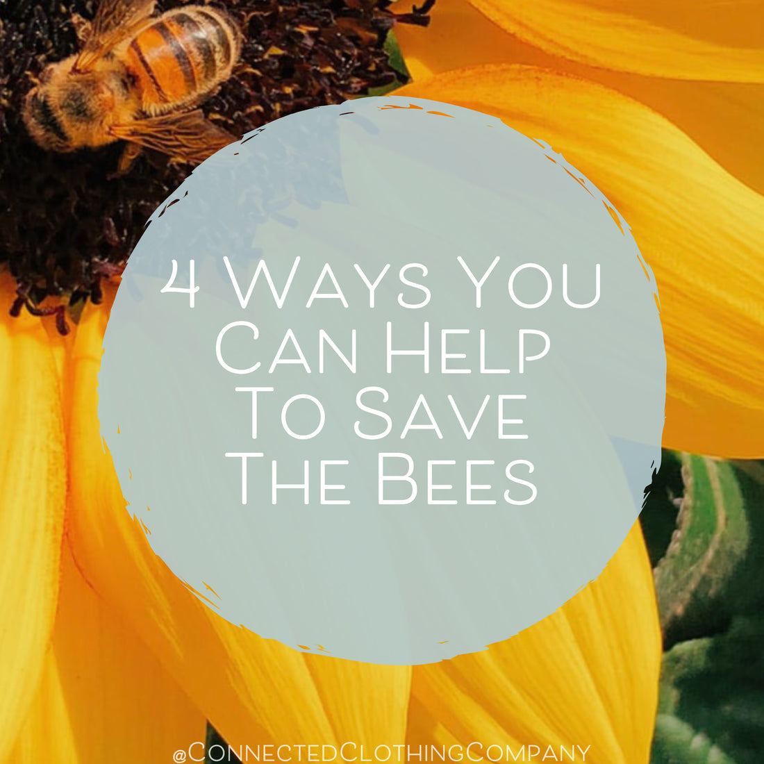 4 Ways You Can Help To Save The Bees