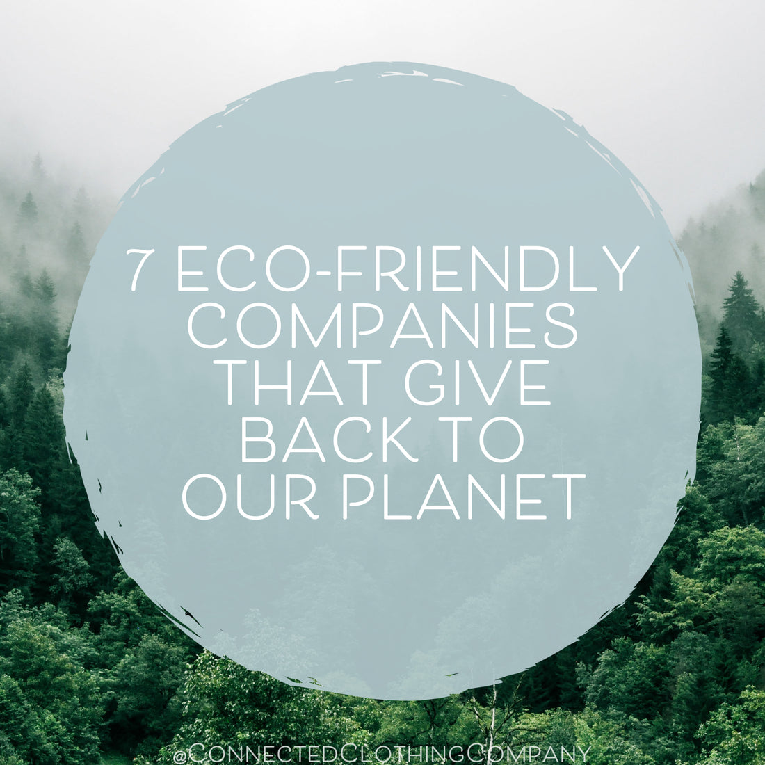 7 Eco-friendly Companies That Give Back To Our Planet