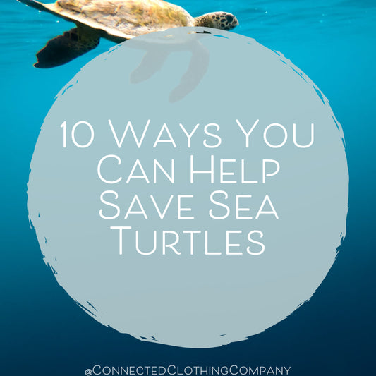 10 Ways You Can Help Save Sea Turtles