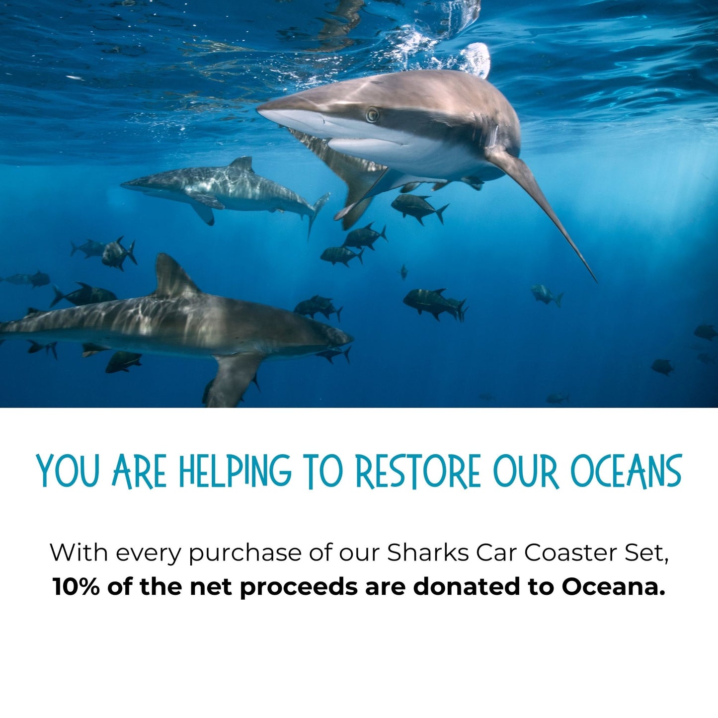 Sharks Car Coaster Set - Connected Clothing Company - 10% donated to ocean conservation