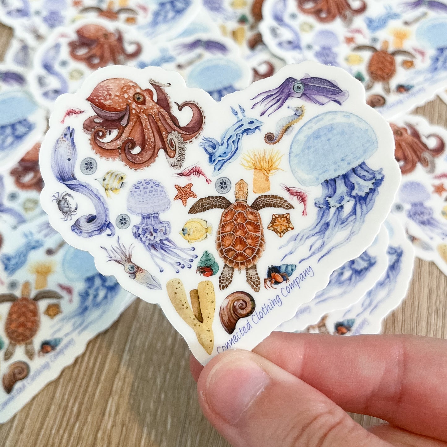 Ocean Sea Creatures Sticker - Connected Clothing Company - 10% of proceeds donated to ocean conservation