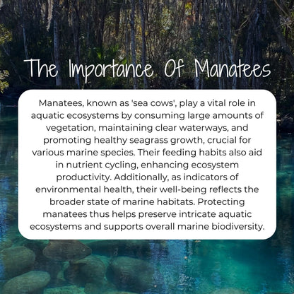 Manatees, known as 'sea cows', play a vital role in aquatic ecosystems by consuming large amounts of vegetation, maintaining clear waterways, and promoting healthy seagrass growth, crucial for various marine species.
