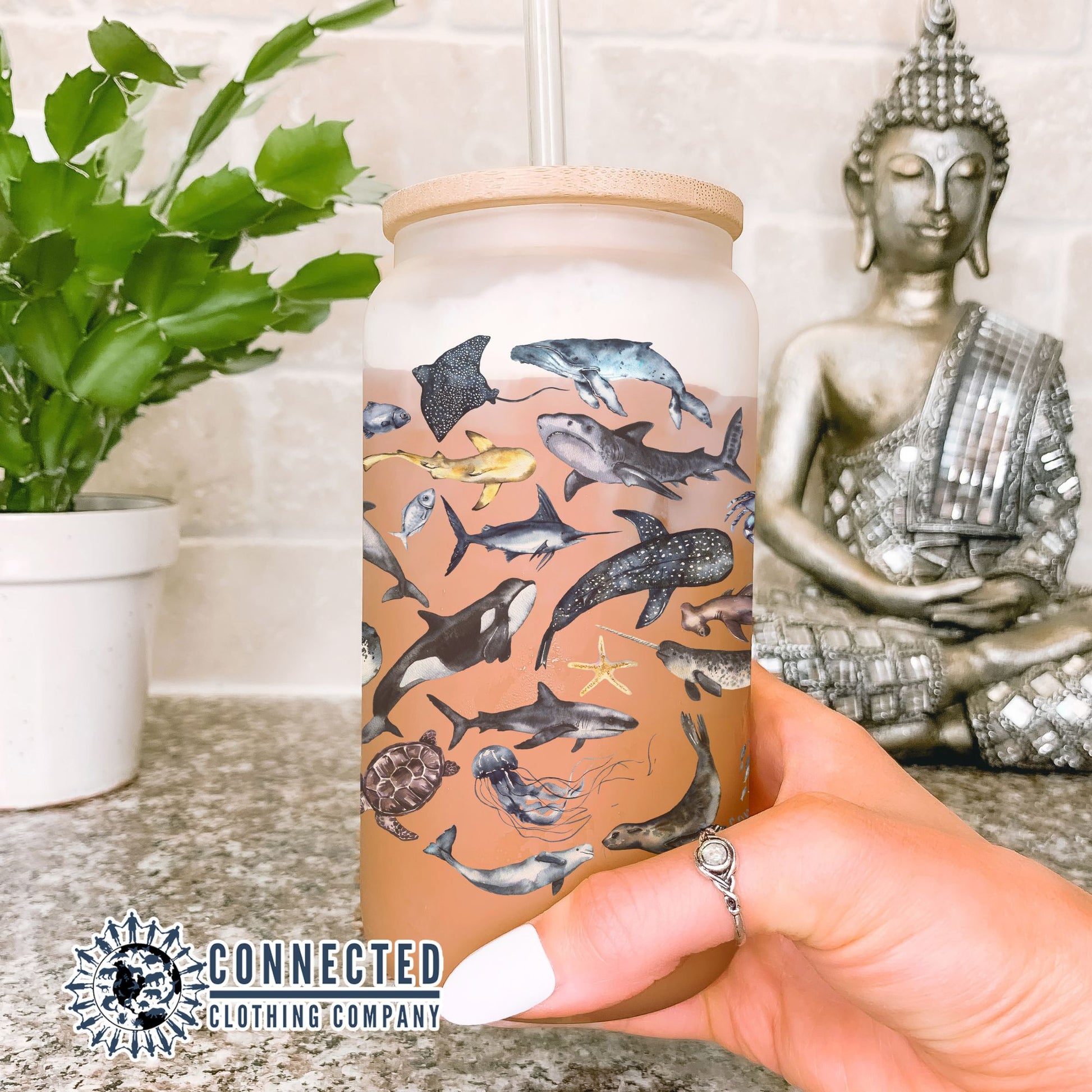 2-Pack Sea Creatures Glass Cans - Connected Clothing Company - 10% of proceeds donated to ocean conservation