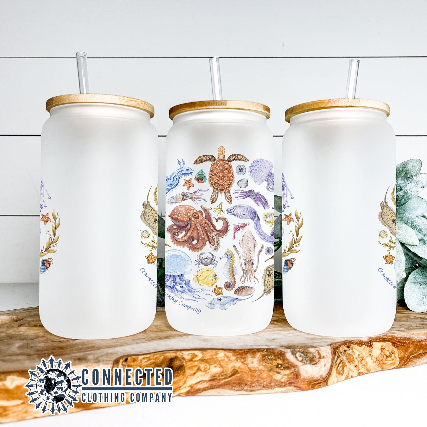 2-Pack Sea Creatures Glass Cans - Connected Clothing Company - 10% of proceeds donated to ocean conservation