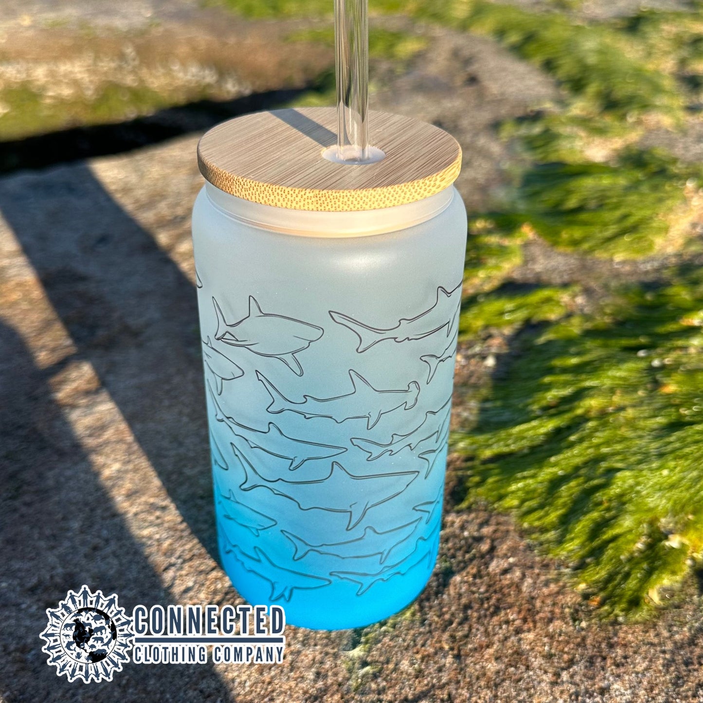 Shark Species Blue Fade Glass Can - Connected Clothing Company - 10% of proceeds donated to shark conservation