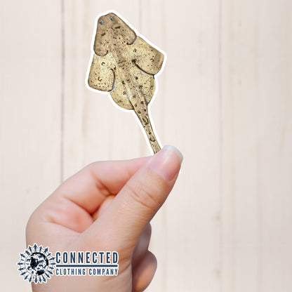 Hand Holding Angel Shark Watercolor Sticker - Connected Clothing Company - Ethical and Sustainable Apparel - portion of profits donated to shark conservation