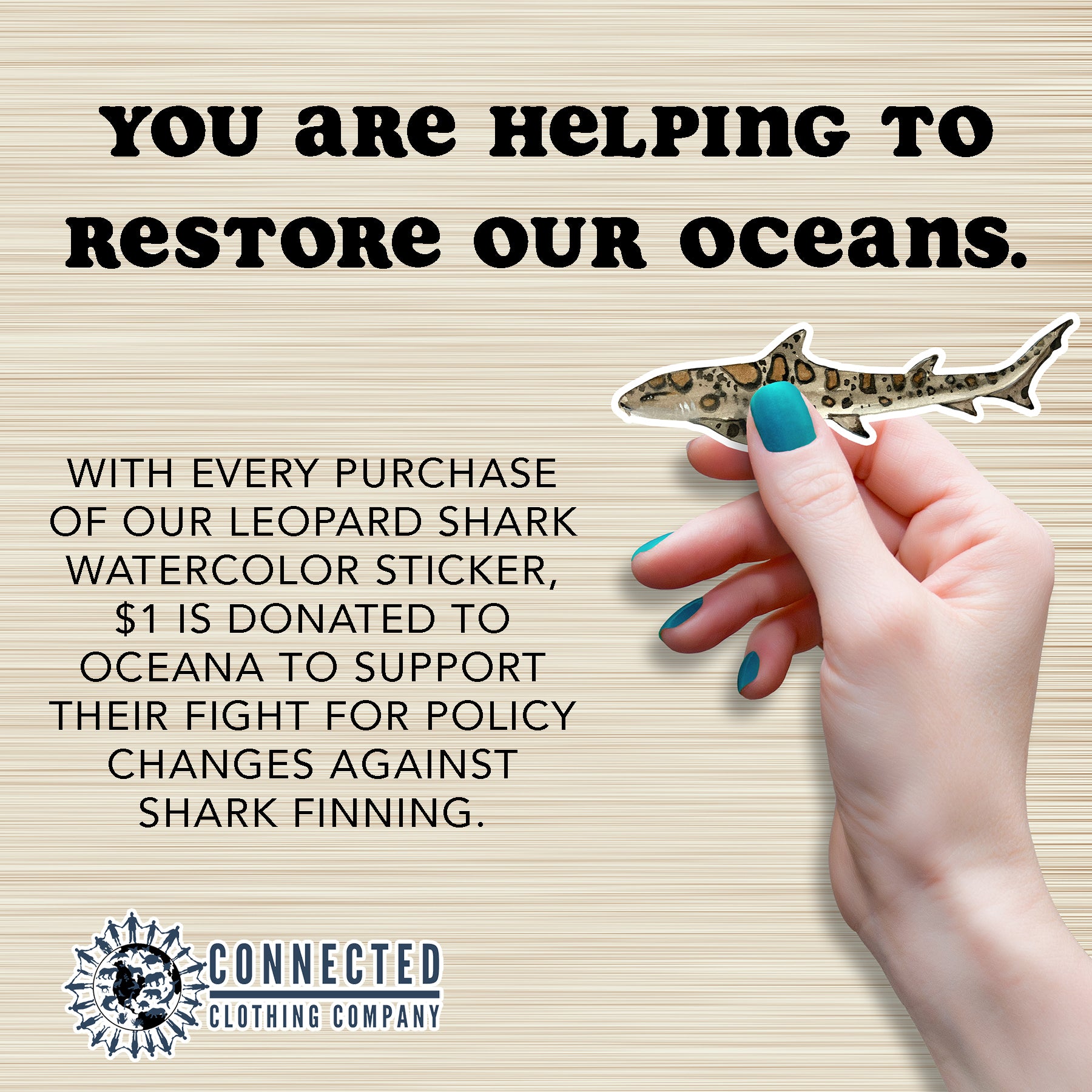 Hand Holding Leopard Shark Watercolor Sticker - "You are helping to restore our oceans. With every purchase of our leopard shark watercolor sticker, $1 is donated to oceana to support their fight for policy changes against shark finning." - Connected Clothing Company - Ethical and Sustainable Apparel - portion of profits donated to shark conservation