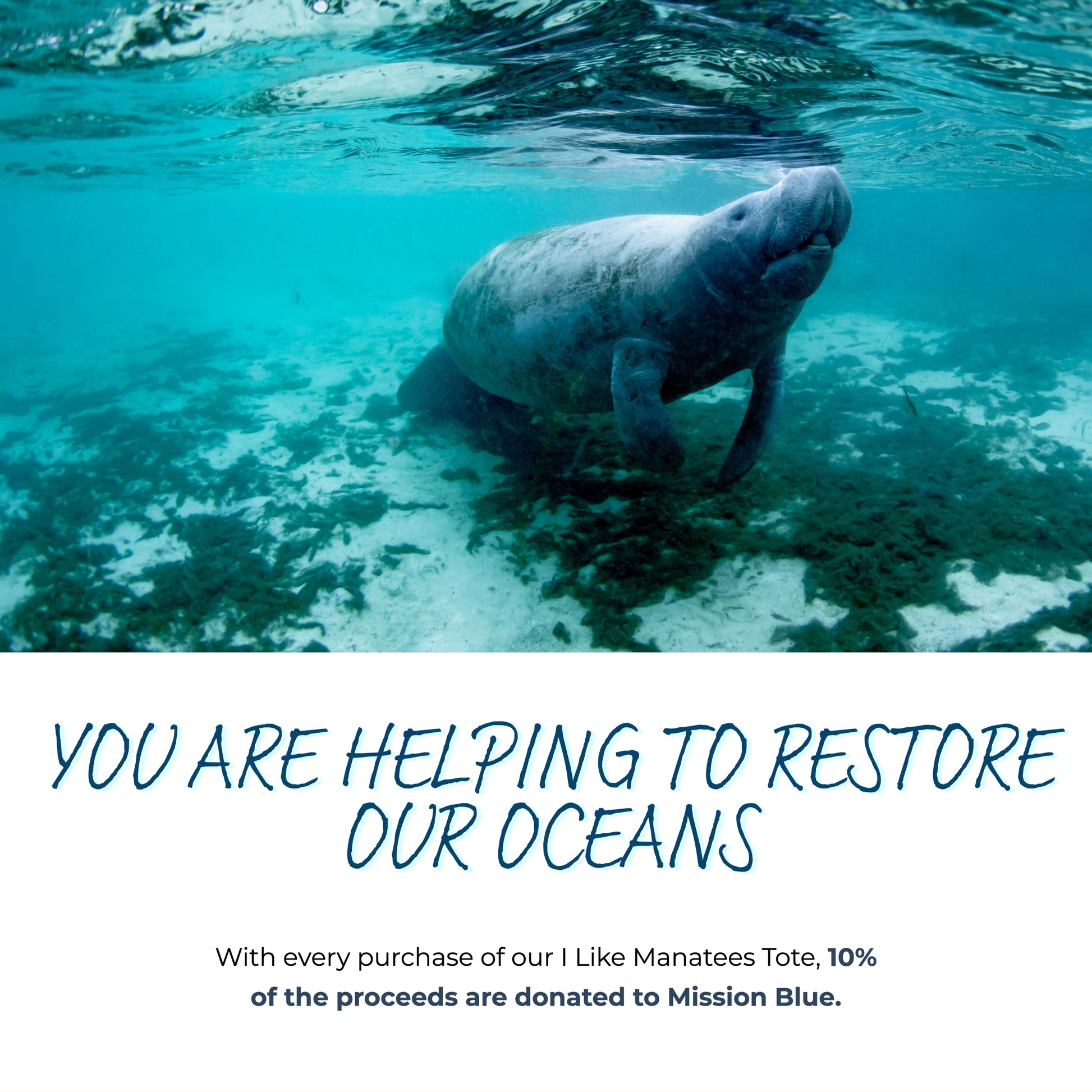 I Like Manatees Tote Bag - Connected Clothing Company - 10% of proceeds donated to ocean conservation