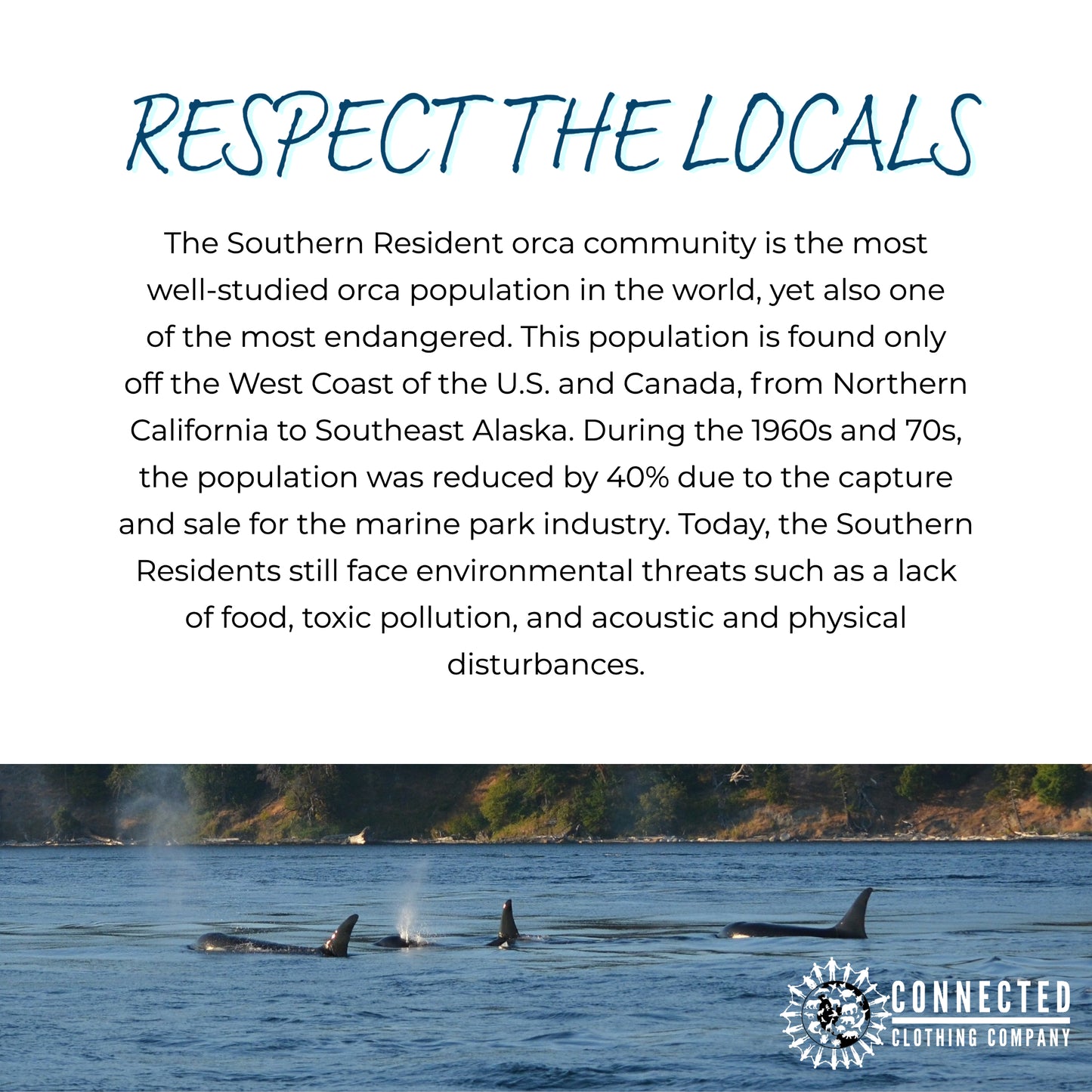Respect The Locals. The Southern resident orca community is the most well-studied orca population in the world, yet also one of the most endangered. This population is found only off the West Coast of the U.S. and Canada, from northern california to southeast alaska. During the 1960s and 70s, the population was reduced by 40% due to the capture and sale for the marine park industry. Today, the Southern residents still face environmental threats 