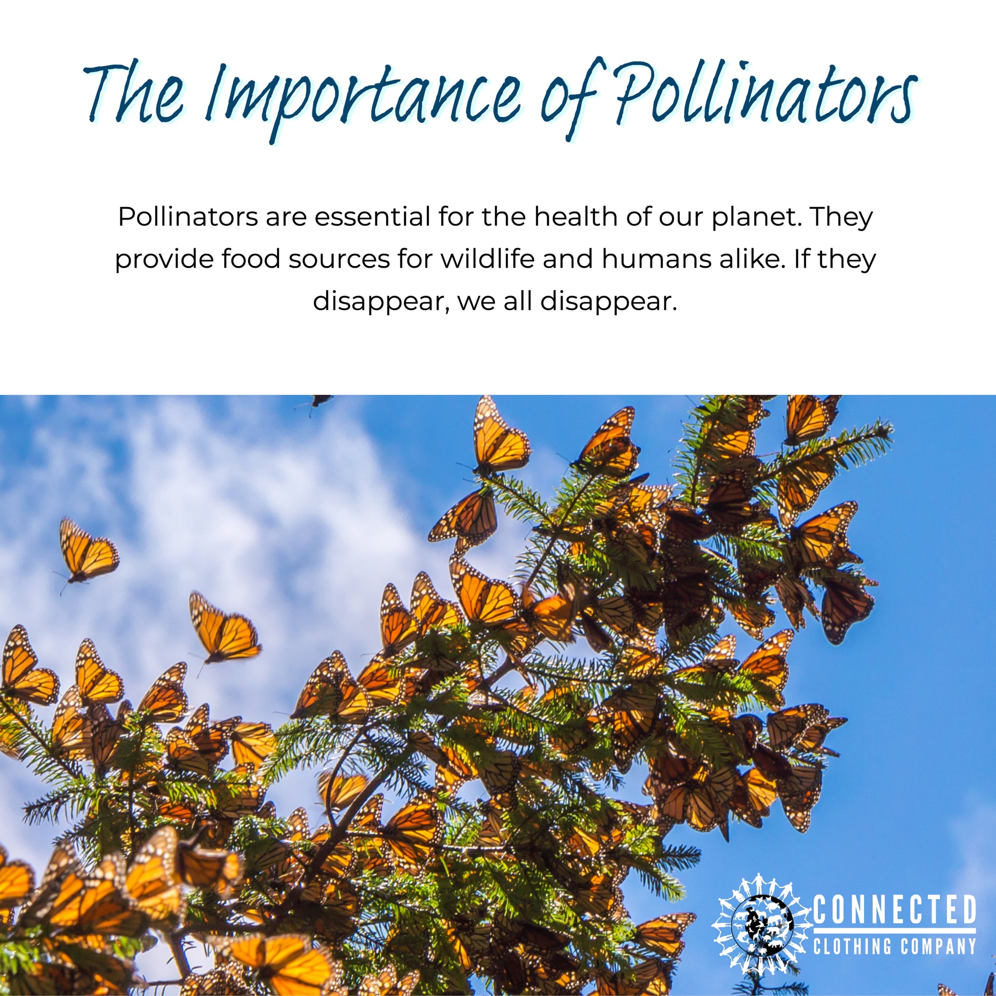 the importance of pollinators. pollinators are essential for the health of our planet. they provide food sources for wildlife and humans alike. If they disappear, we all disappear.