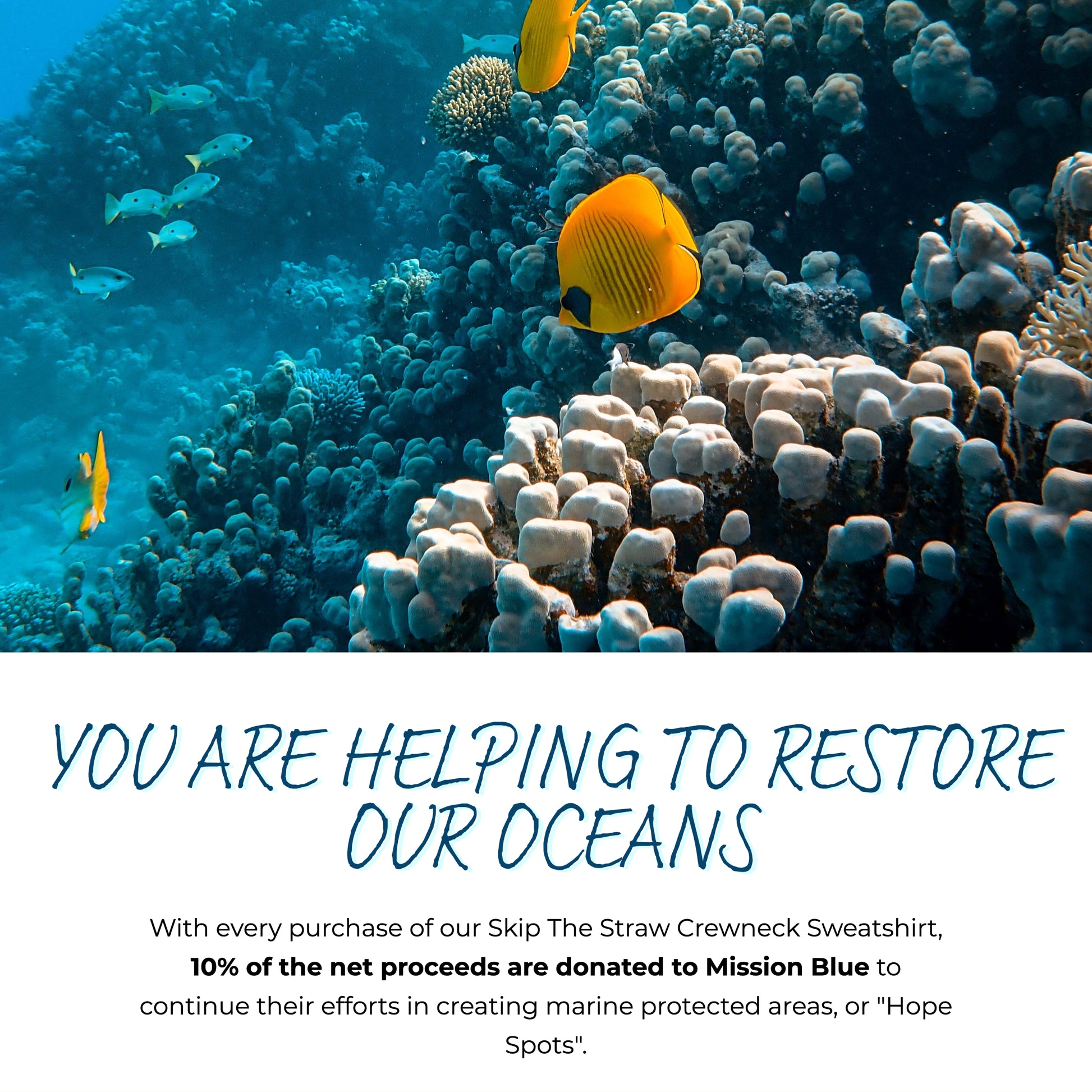 You are helping to restore our oceans. With every purchase of our Skip The Straw Crewneck Sweatshirt, 10% of the net proceeds are donated to Mission Blue to continue their efforts in creating marine protected areas, or "Hope Spots"