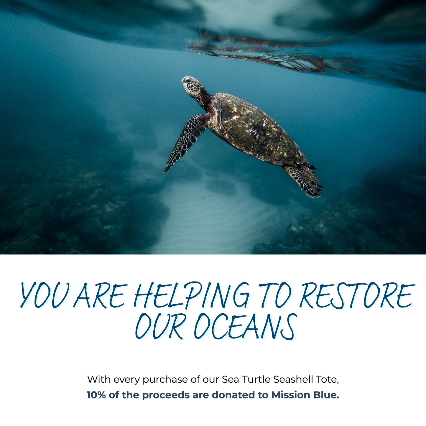 You are helping to restore our oceans. With every purchase of our Sea Turtle Seashell Tote Bag, 10% of the net proceeds are donated to Mission Blue to continue their efforts in creating marine protected areas, or "Hope Spots"