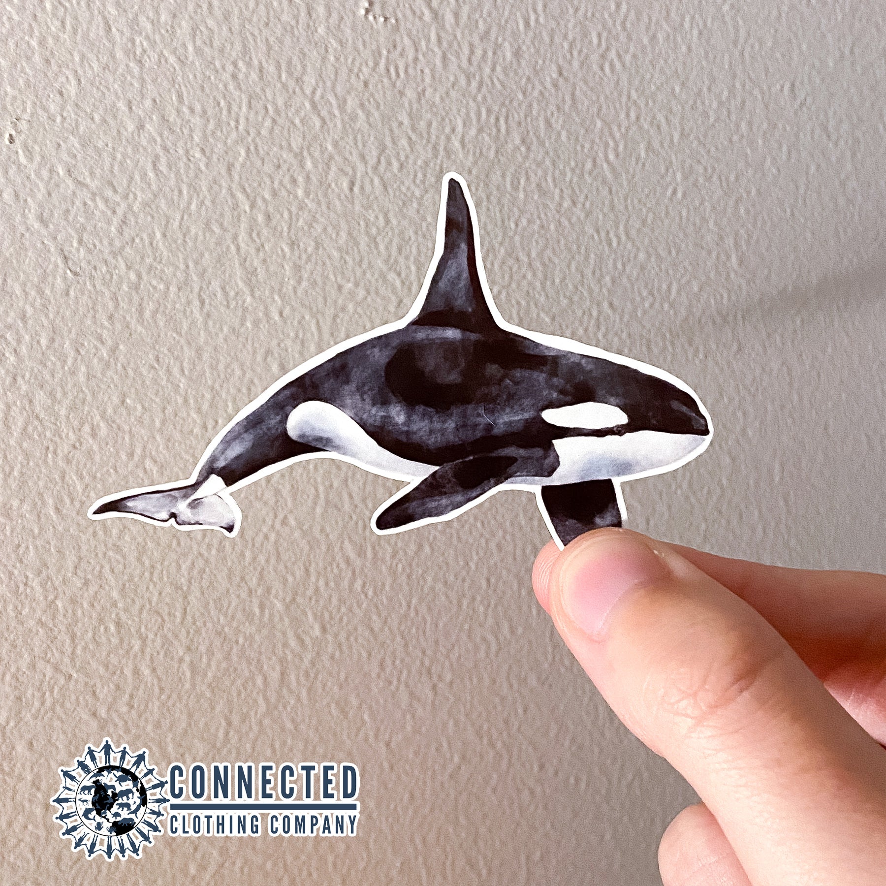 Orca Sticker - Connected Clothing Company - 10% of proceeds donated to Wild Orca nonprofit
