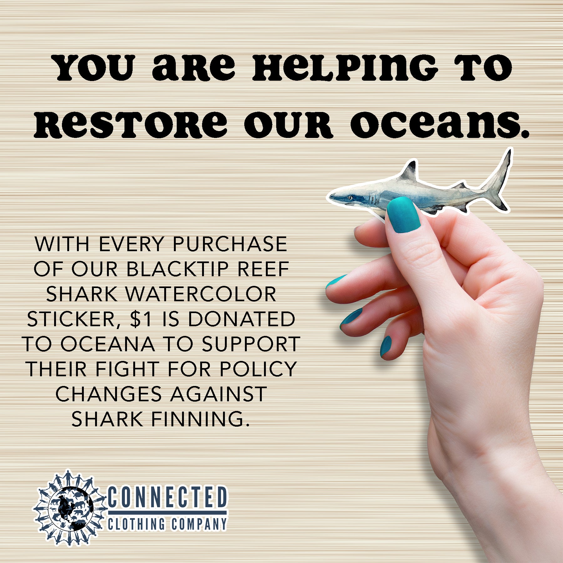 Hand Holding Reef Shark Watercolor Sticker - "You are helping to restore our oceans. With every purchase of our blacktip reef shark watercolor sticker, $1 is donated to oceana to support their fight for policy changes against shark finning." - Connected Clothing Company - Ethical and Sustainable Apparel - portion of profits donated to shark conservation