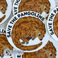 Close up of Save The Pangolins Sticker - Connected Clothing Company -  portion of profits donated to save the pangolins