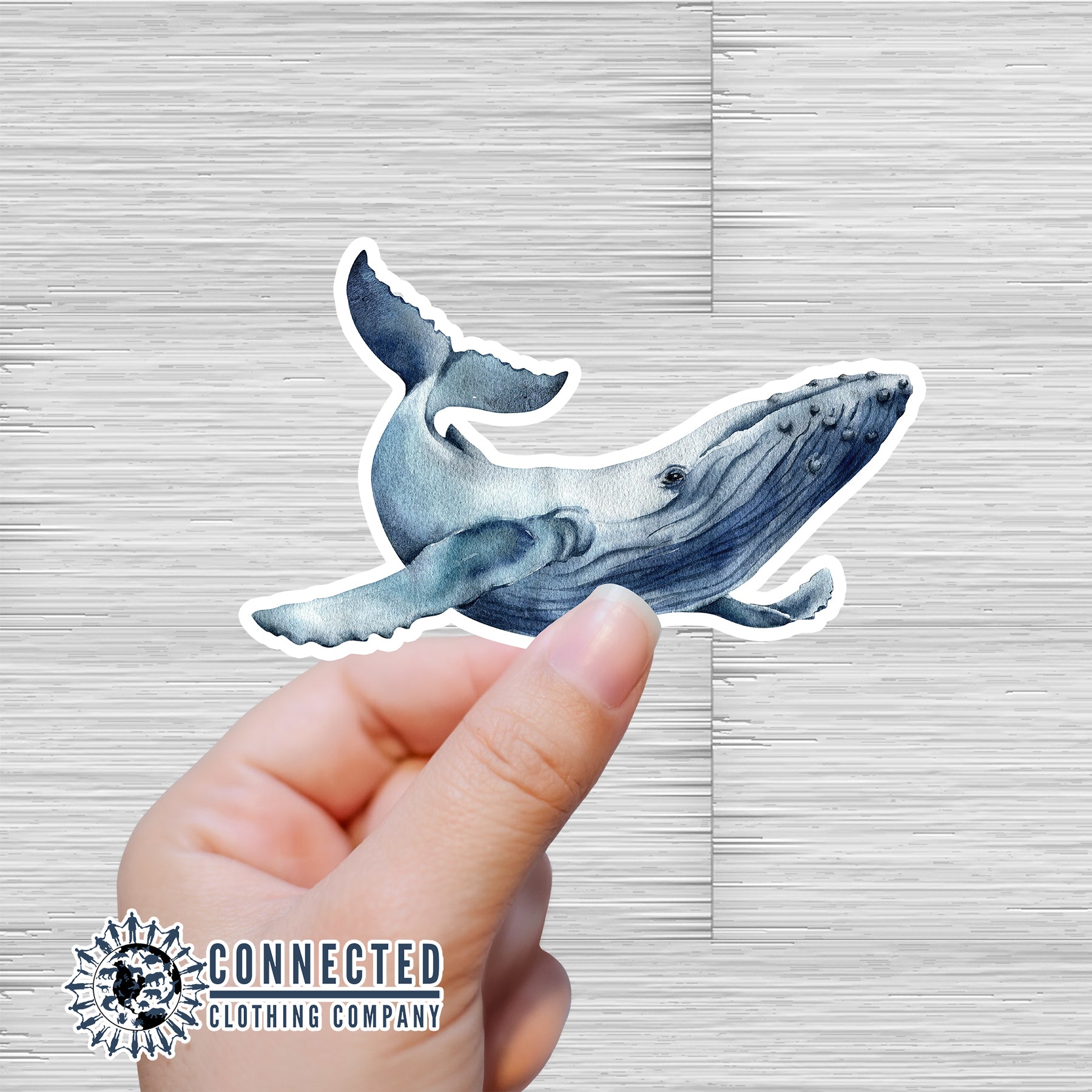 humpback whale sticker - connected clothing company - 10% of proceeds donated to ocean conservation