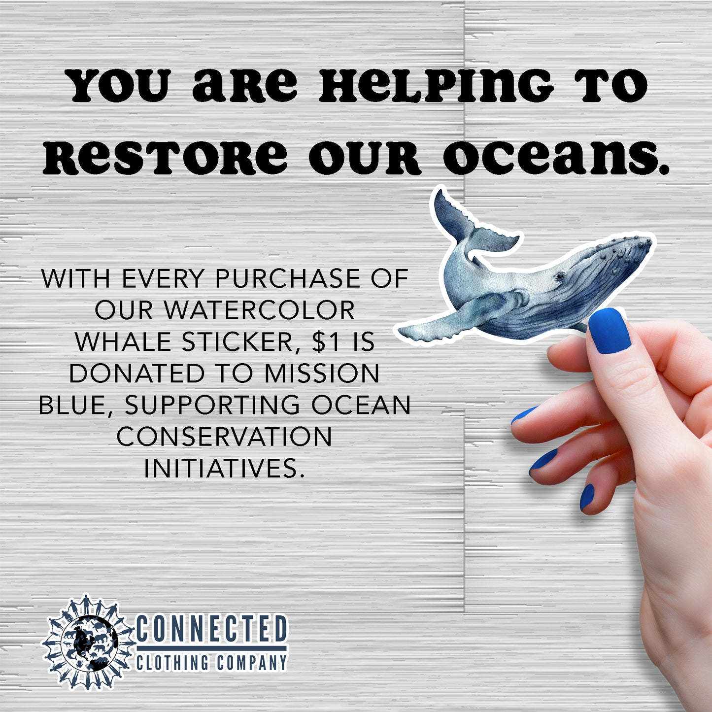 You are helping to restore our oceans. With every purchase of our watercolor whale sticker, 10% of the net proceeds are donated to Mission Blue to continue their efforts in creating marine protected areas, or "Hope Spots" supporting ocean conservation initiatives