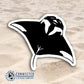 Close up of Giant Manta Ray Sticker - Connected Clothing Company - 10% of profits donated to the Mission Blue ocean conservation